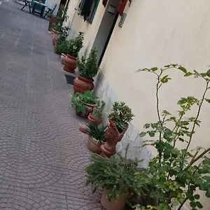 https://casa-diana.it-romehotels.com